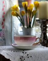 Eigl austria eggshell porcelain, purple color, delicately iridescent, gold-plated tea set