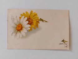 Old postcard 1900 postcard with daisies
