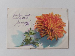 Old postcard postcard with asters