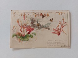 Old postcard 1901 postcard cyclamen small birds