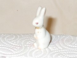 Aquincumi. Miniature rare bunny.