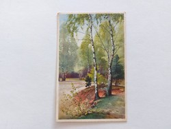Old postcard postcard landscape with birch trees