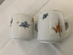 Pair of antique Schlaggenwald coffee cups