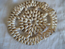 Dish or placemat made of shells