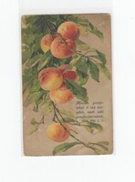 Üdvözlő képeslap csendélet CS:04 "Étel-ital-Gyümölcs"