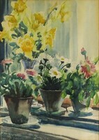 1L888 Szili Török Dezső : Virágok az ablakban 1958.IV.23.
