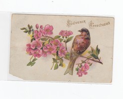 Üdvözlő képeslap madár M:01 dombornyomott "sarok hiány"