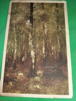 Antik cc. 1950 retusált színes fotó Gic az erdő belseje képeslap a képek szerint