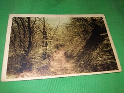 Antik cc. 1950 retusált színes fotó erdei ösvény képeslap a képek szerint