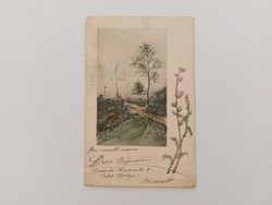 Old postcard postcard spring landscape catkins