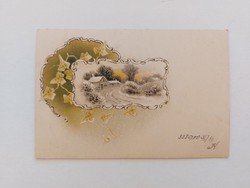 Old postcard 1900 postcard landscape with ivy