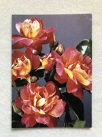 Postcard floral postcard with roses