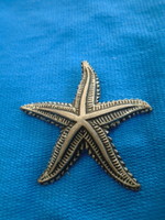 Régi bross tengeri csillag
