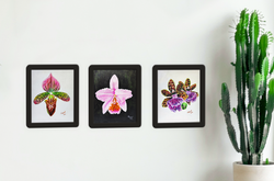 Eva Pilipár: The Three Graces, Acrylic Painting with Orchids