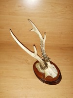 Old antler trophy on wooden base wall decoration (7p)