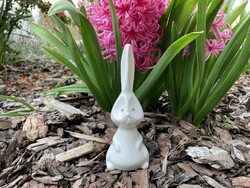 Aquincumi pot-bellied rocket rabbit, Easter bunny