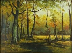 1M490 xx. Century painter: autumn forest interior
