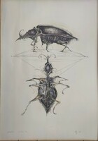 Lithograph by Gábor Dienes: beetle