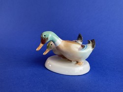 Auqincum display case porcelain duck wild ducks