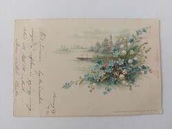 Old floral postcard 1899 postcard forget-me-not