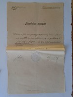 Za433.5 Official receipt Gyula - 40 crowns medical treatment - Békés county public hospital 1909