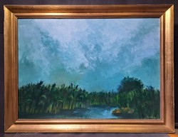 Tímár József: Vadvizek, 70x50 cm + keret! olaj, Képcsarnokos, kiállított kép, 1986 - kortárs