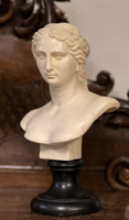 Bust of a woman with Venere di milo engraving - Venus of Milo on its own marble plinth