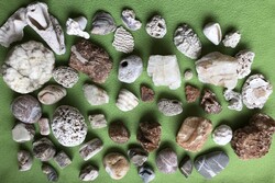 Minerals, stones, fossils