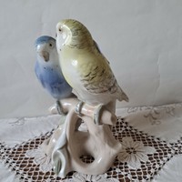 Royal dux parrot pair