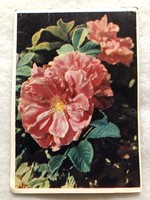 Old Russian floral postcard - post clean -6.