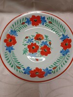 6 hand-painted porcelain plates