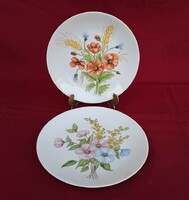 Collectors of beautiful Arzberg porcelain floral wall plates with poppies
