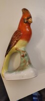Ceramic parrot