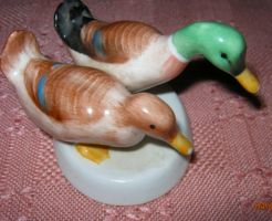 Pair of aquincum ducks