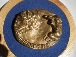EXTRA RITKA : GYŐR I .F .A   .HUNGARY  1979 , BRONZ Plakett