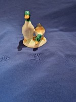 A smaller pair of Bodrogketestúr ducks
