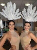 Extra show headdress with goose feathers