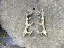 Small metal antlers for replacement or creative purposes