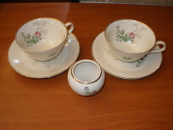 Royal Selb tea cups