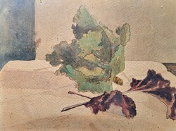 Káposzta - antik akvarell zöldség csendélet