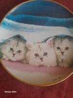 Cicás  macskás tányér