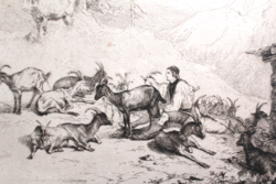 F. Gauermann (1807-1862): the goatherd (etching with frame) Austrian artist