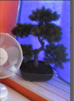 Artificial bonsai artificial flower