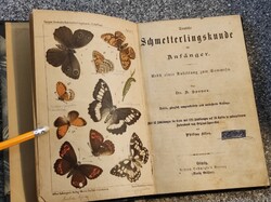A Német pillangókról Kezdőknek-Deutsche Schmetterlingskunde ...Adolf Speyer-1879