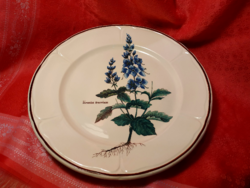Rare, English, porcelain bowl and plate with plant motifs