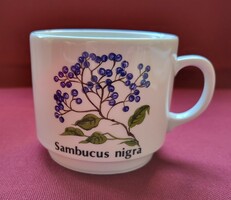 Seltmann weiden bavaria german porcelain botanical black elderflower pattern cup mug