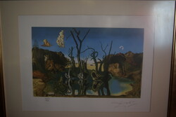 Salvador Dali vízjeles aláírt litográfia. A kép címe Swans Reflecting in Elephants