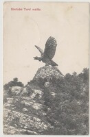 Bánhidai (Tatabánya), Turul madár. Spitzer S., Komárom, 1906 (?) Postán futott