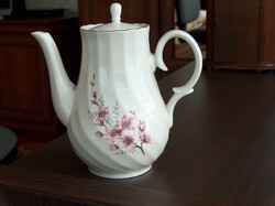Beautifully shaped porcelain tea / coffee spout