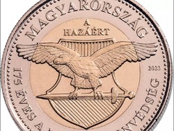 2023 – A Magyar Honvédség fennállásának 175. évfordulójára - 100 Ft emlékváltozat